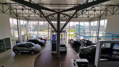 Volkswagen Skoda Gabło